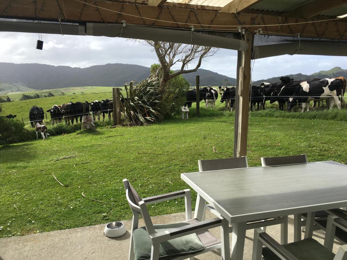 Chalet Cullen, Mangawhai Exteriér fotografie